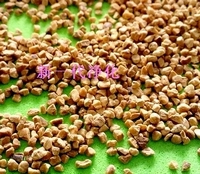 ��(y��u)�|(zh��)���Қ� ���Қ�ɰ ���Қ���