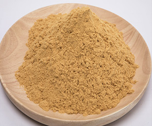 �ۺ������F ���۠����w���